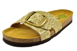 DR BRINKMANN 700906-08