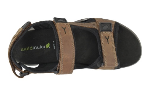 WALDLAUFER 746004 104 026 H-Taro