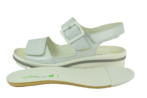 WALDLAUFER 351013 106 211 Hakura